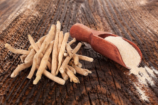 Ingredient of the Month: Ashwagandha