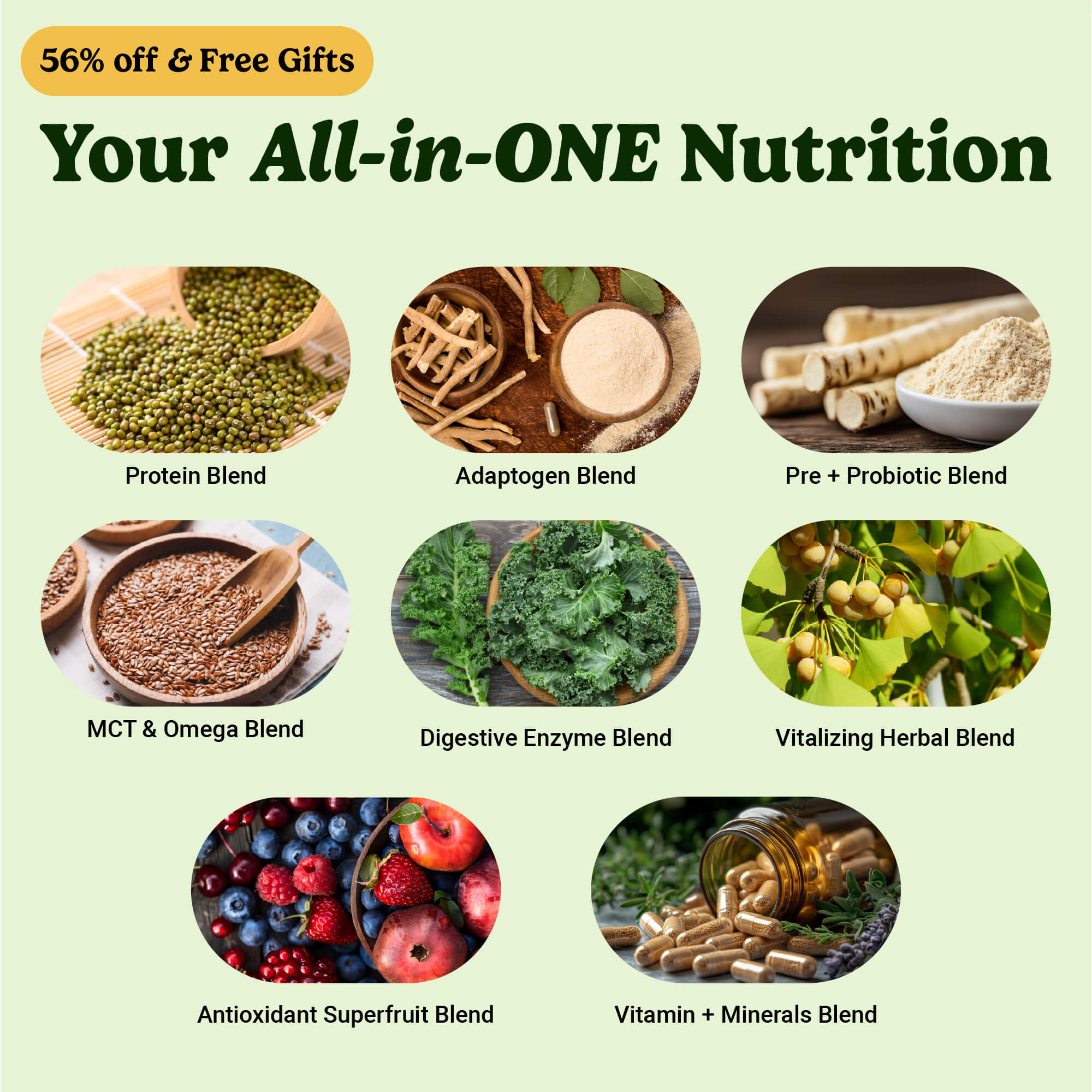 all-in-one-nutrition-shake-bundle