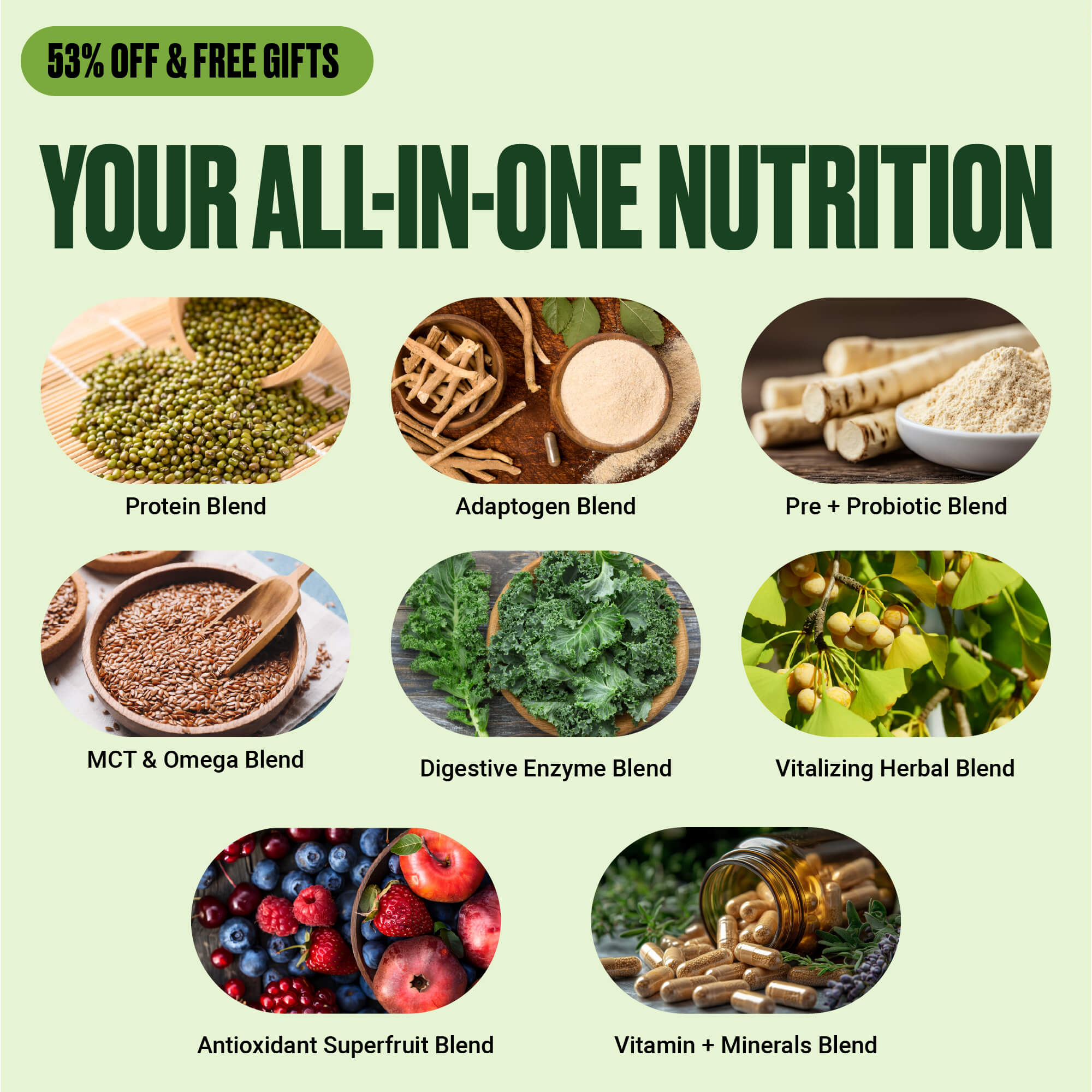 all-in-one-nutrition-shake-bundle