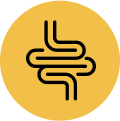 Improves Gut <br>Health