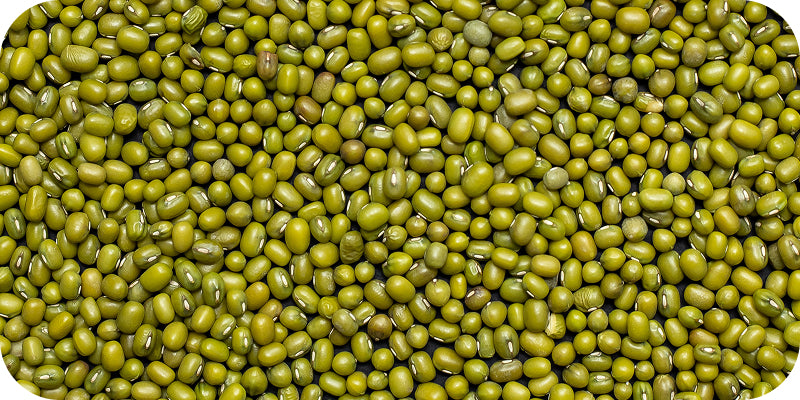 Complete Plant Protein