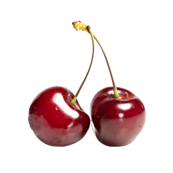 TART CHERRY