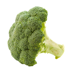 ORGANIC BROCCOLI