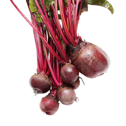 ORGANIC BEET ROOT