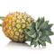 Digestive Enzymes
