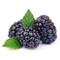 Whole Fruits & Veggies