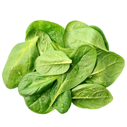 ORGANIC SPINACH