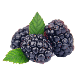 ORGANIC BLACKBERRY