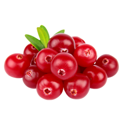 ORGANIC CRANBERRY